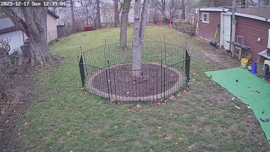 Backyard 1 Camera